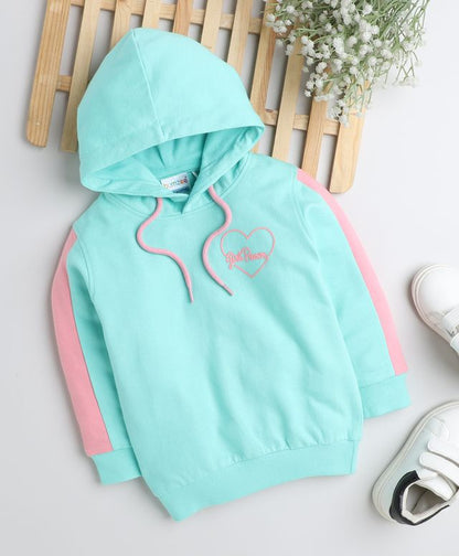 KP6029 - Hoodie - blue, pink - Color Block- Pack of 7